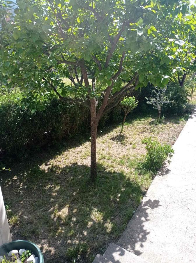 Apartment Ivan Kotor Luaran gambar